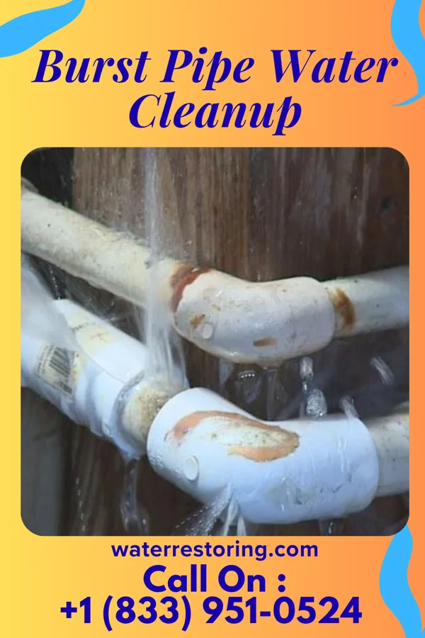 Burst Pipe Water Cleanup in Fairmount, IL