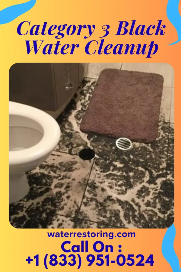 Category 3 Black Water Cleanup in Fairmount, IL