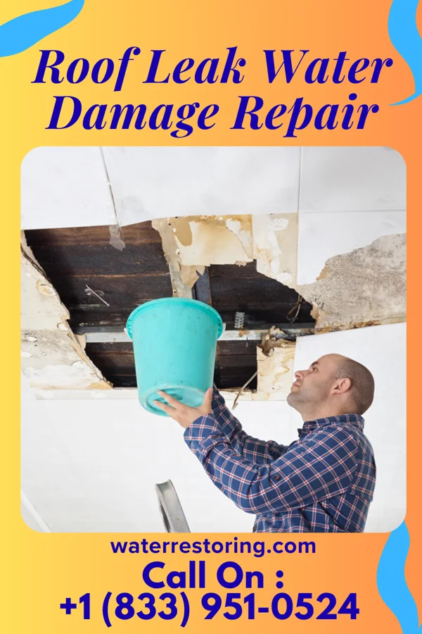 Roof Leak Water Damage Repair in Fairmount, IL